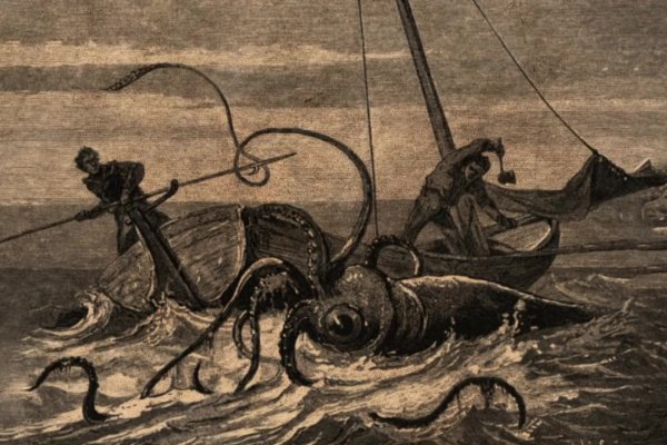 Kraken 24at