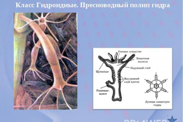 Кракен даркнет маркет ссылка тор