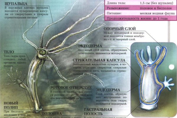 Кракен даркнет площадка ссылка