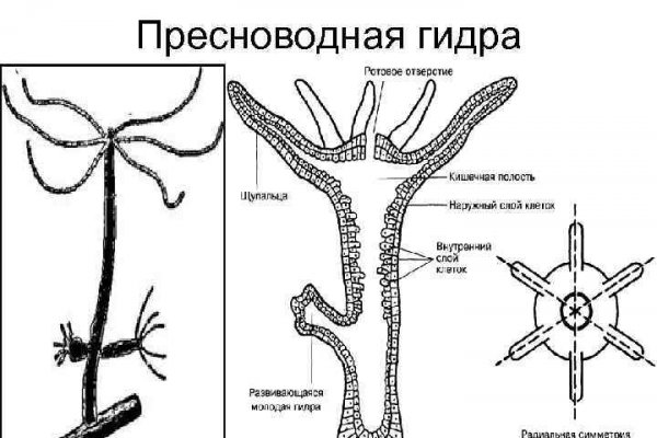 Ссылка на кракен в тор браузере kr2web in