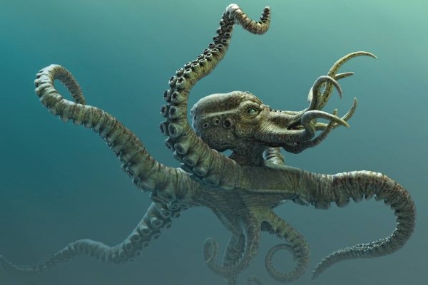 Kraken place