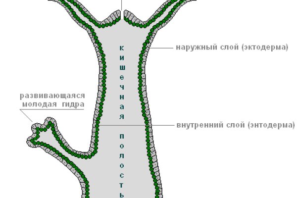 Значок кракена маркетплейса