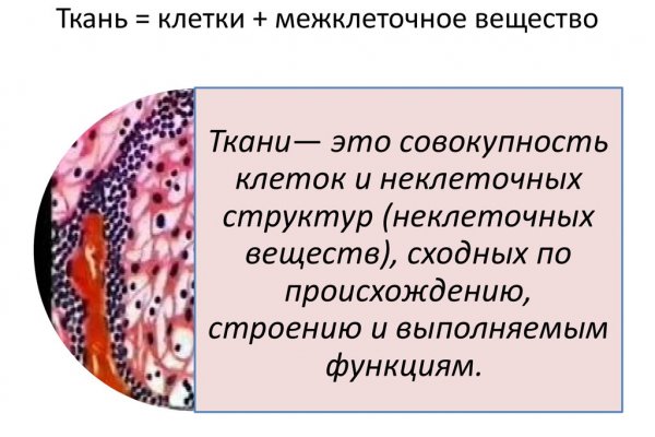 Kraken17 at сайт
