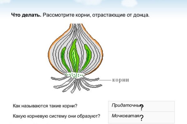 Kraken сайт tor